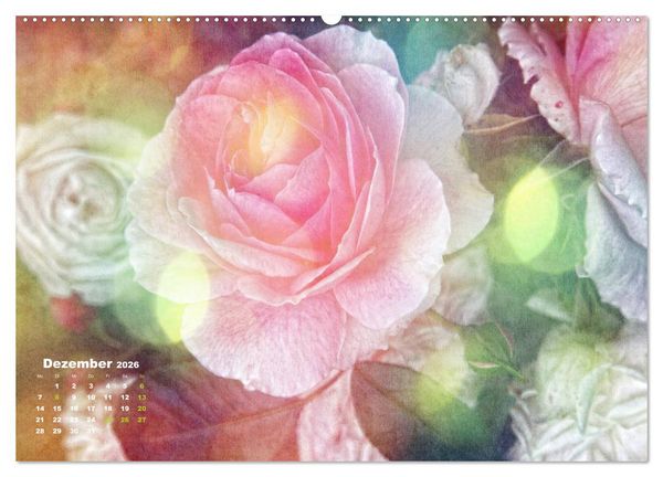 Produktbild: Rosen Romantik (Wandkalender 2026 DIN A2 quer), CALVENDO Monatskalender