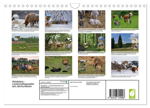 Produktbild: Weidetiere - Landschaftsgestalter seit Jahrhunderten (Wandkalender 2026 DIN A4 quer), CALVENDO Monatskalender