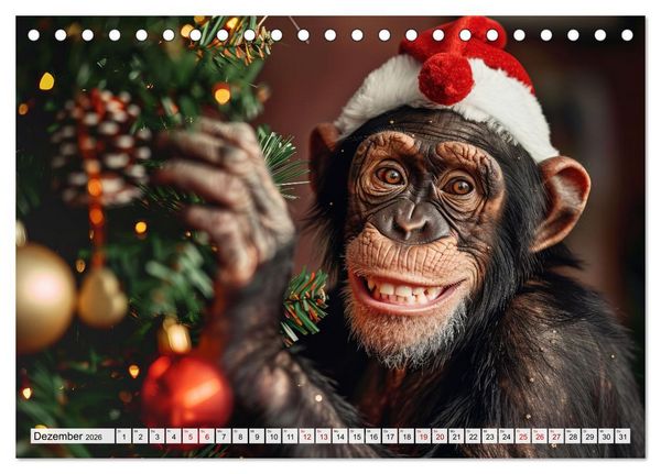 Produktbild: Schimpansen - Ein Jahr mit Menschenaffen. (Tischkalender 2026 DIN A5 quer), CALVENDO Monatskalender