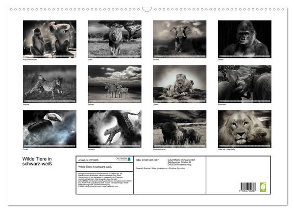 Produktbild: Wilde Tiere in schwarz-wei&szlig; (Wandkalender 2026 DIN A2 quer), CALVENDO Monatskalender