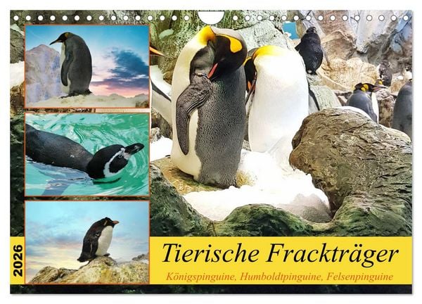 Produktbild: Tierische Fracktr&auml;ger (Wandkalender 2026 DIN A4 quer), CALVENDO Monatskalender