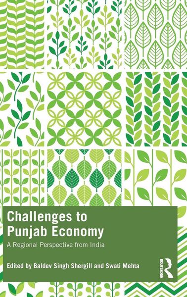 Produktbild: Challenges to Punjab Economy