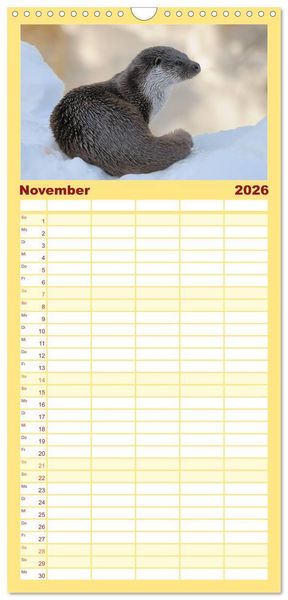 Produktbild: Familienplaner 2026 - Fischotter, flinke J&auml;ger mit 5 Spalten (Wandkalender, 21 x 45 cm) CALVENDO