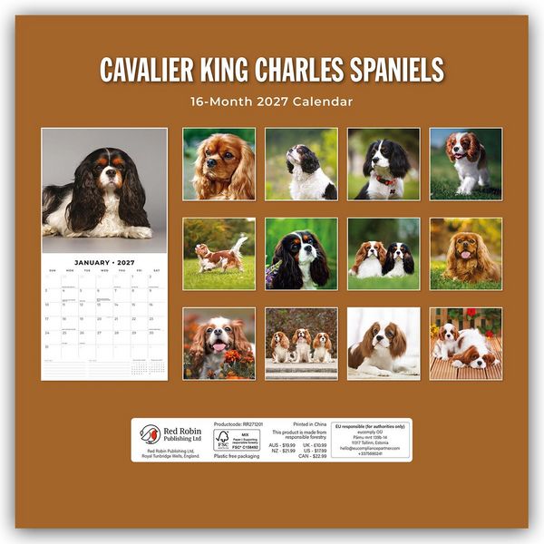 Produktbild: Cavalier King Charles Spaniels &ndash; Cavalier King Charles Spaniel 2027 &ndash; 16-Monatskalender