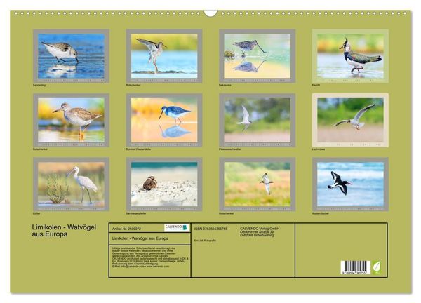 Produktbild: Limikolen - Watv&ouml;gel aus Europa (Wandkalender 2027 DIN A2 quer), CALVENDO Monatskalender