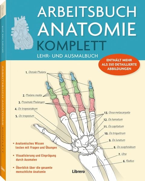 Produktbild: Arbeitsbuch Anatomie Komplett