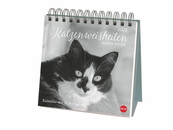 Monika Wegler: Katzen Weisheiten Premium-Postkartenkalender 2025