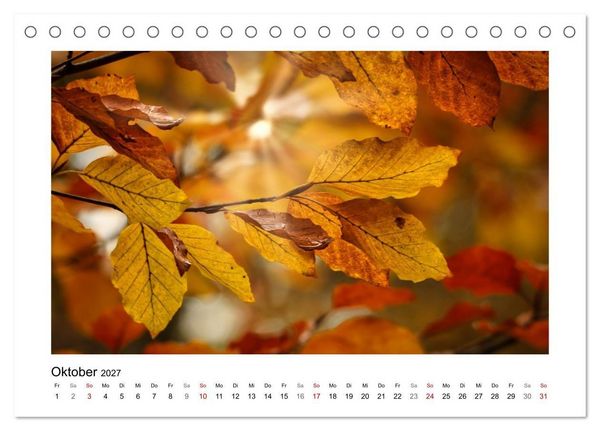 Produktbild: Naturkunstwerke (Tischkalender 2027 DIN A5 quer), CALVENDO Monatskalender