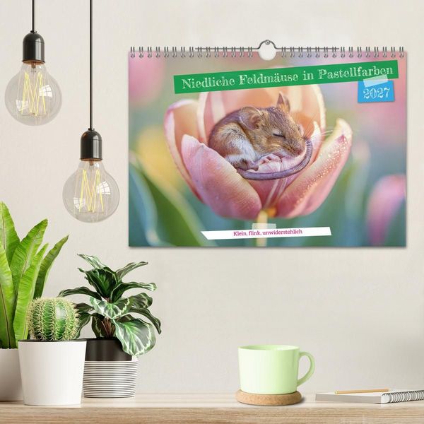 Produktbild: Niedliche Feldm&auml;use in Pastellfarben (Wandkalender 2027 DIN A4 quer), CALVENDO Monatskalender