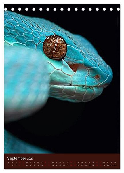 Produktbild: The Power Of Snake (Tischkalender 2027 DIN A5 hoch), CALVENDO Monatskalender