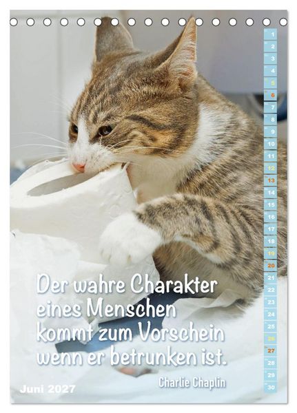 Produktbild: Der literarische Katerkalender (Tischkalender 2027 DIN A5 hoch), CALVENDO Monatskalender