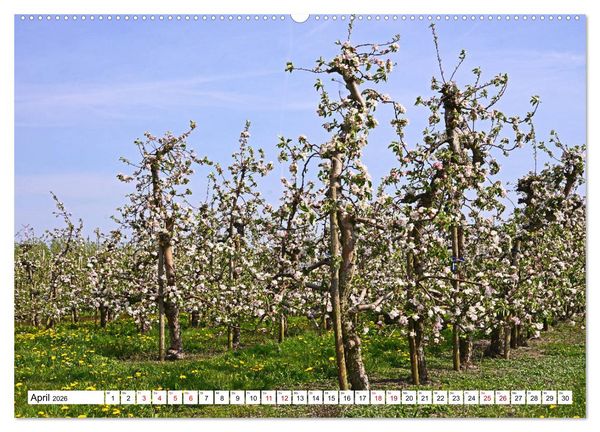 Produktbild: Altes Land 2026 (hochwertiger Premium Wandkalender 2026 DIN A2 quer), Kunstdruck in Hochglanz