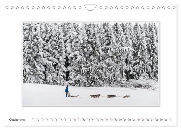 Produktbild: Emotionale Momente: The Art of Huskys. / CH-Version (Wandkalender 2026 DIN A4 quer), CALVENDO Monatskalender