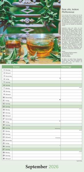 Kräuter & Gewürze 2026 - Streifenkalender 22x45 cm - mit Extraspalte für Geburtstage - Küchentipps und Mondphasen - Wandkalender - Terminplaner