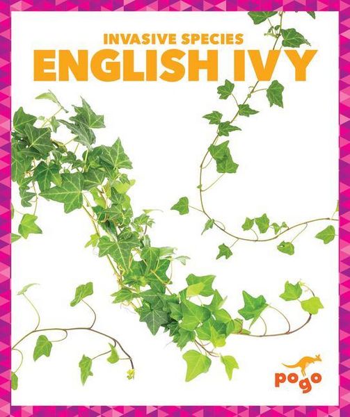Produktbild: English Ivy