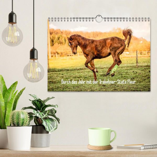 Produktbild: Durch das Jahr mit der Trakehner-Stute Fleur (Wandkalender 2026 DIN A4 quer), CALVENDO Monatskalender