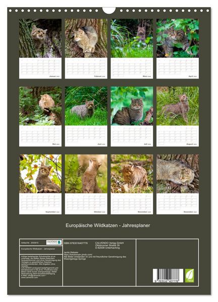 Produktbild: Europ&auml;ische Wildkatzen - Jahresplaner (Wandkalender 2026 DIN A3 hoch), CALVENDO Monatskalender