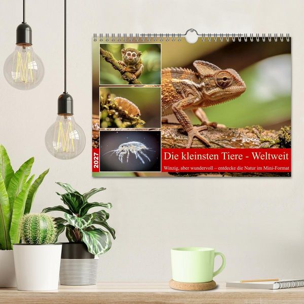 Produktbild: Die kleinsten Tiere - Weltweit (Wandkalender 2027 DIN A4 quer), CALVENDO Monatskalender