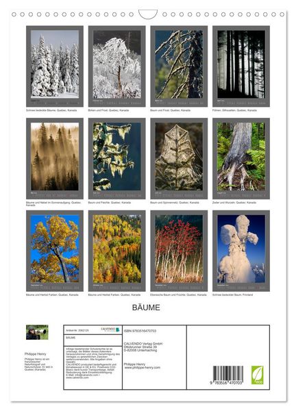 Produktbild: B&Auml;UME (Wandkalender 2026 DIN A3 hoch), CALVENDO Monatskalender
