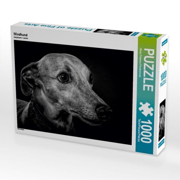 CALVENDO Puzzle Windhund | 1000 Teile Lege-Größe 64x48cm Foto-Puzzle für glückliche Stunden