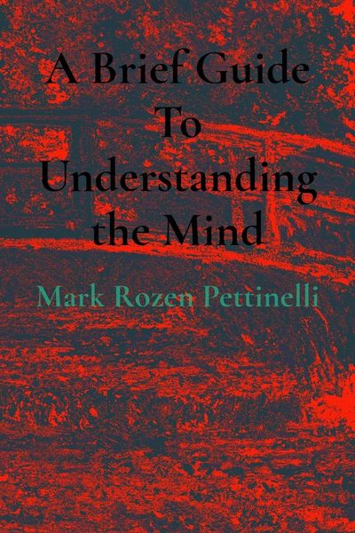 Produktbild: A Brief Guide To Understanding the Mind