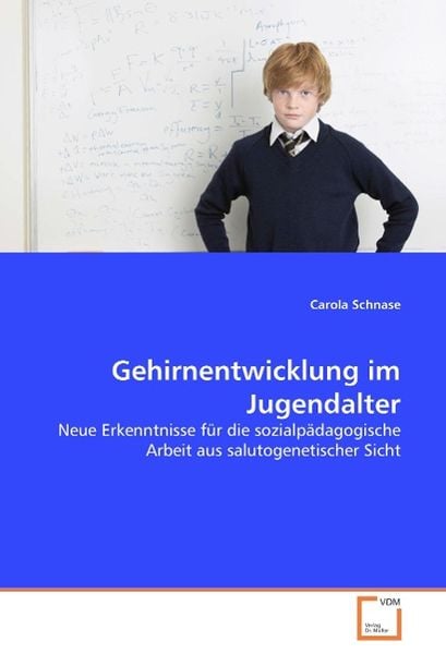 Produktbild: Schnase, C: Gehirnentwicklung im Jugendalter