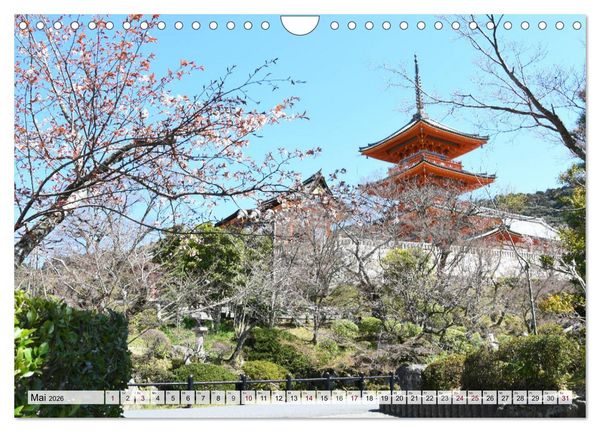 Produktbild: Die Kirschbl&uuml;te in Japan (Wandkalender 2026 DIN A4 quer), CALVENDO Monatskalender