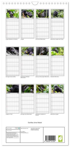 Produktbild: Familienplaner 2026 - Gorillas ohne Nebel mit 5 Spalten (Wandkalender, 21 x 45 cm) CALVENDO