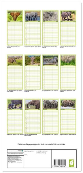 Produktbild: Familienplaner 2026 - Elefanten Begegnungen im &ouml;stlichen und s&uuml;dlichen Afrika mit 5 Spalten (Wandkalender, 21 x 45 cm) CALVENDO