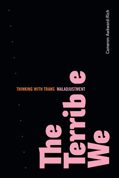 Produktbild: Terrible We