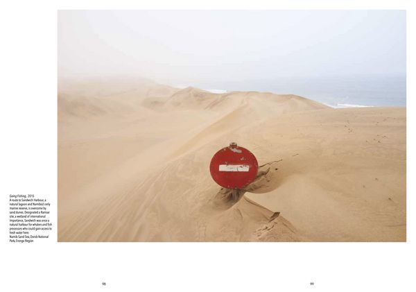 Produktbild: Dust on the Wind