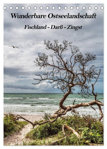 Produktbild: Wunderbare Ostseelandschaft Fischland-Dar&szlig;-Zingst (Tischkalender 2026 DIN A5 hoch), CALVENDO Monatskalender