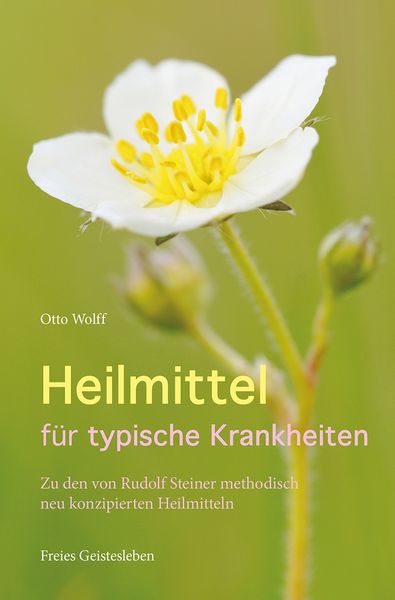 Produktbild: Heilmittel f&uuml;r typische Krankheiten