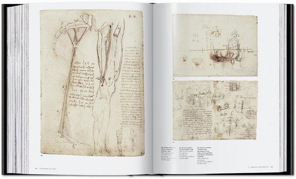 Produktbild: Leonardo