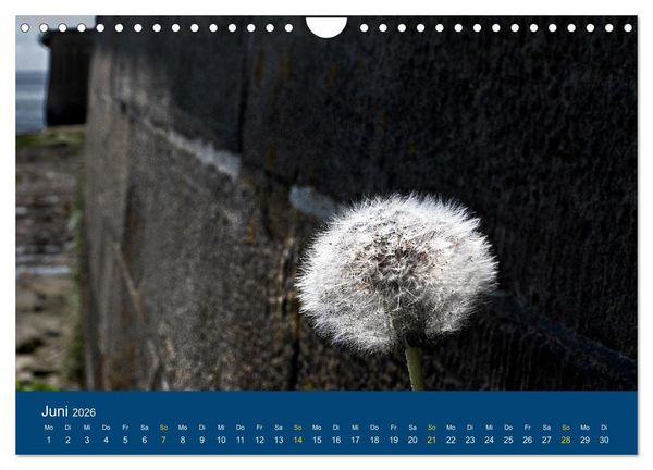 Produktbild: Die Nordmole in Wilhelmshaven. Historisches Relikt und Lieblingsort. (Wandkalender 2026 DIN A4 quer), CALVENDO Monatskalender