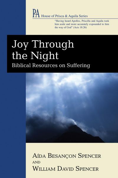Produktbild: Joy Through the Night