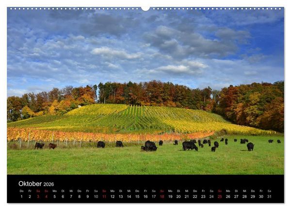 Produktbild: Baden-W&uuml;rttemberg Impressionen (Wandkalender 2026 DIN A2 quer), CALVENDO Monatskalender