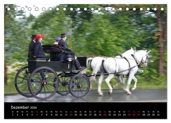 Produktbild: CIAT - Historischer Fahrsport in Celle (Tischkalender 2026 DIN A5 quer), CALVENDO Monatskalender