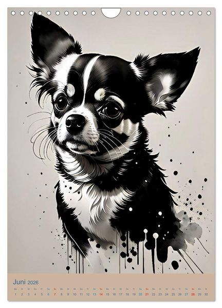 Produktbild: Chihuahuas. Kunstvolle Portr&auml;ts der kleinen Hunde (Wandkalender 2026 DIN A4 hoch), CALVENDO Monatskalender
