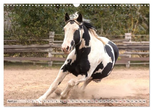 Produktbild: Colorful Horse Ranch &ndash; Wo Tinker posen und Ponys l&auml;cheln (Wandkalender 2027 DIN A3 quer), CALVENDO Monatskalender