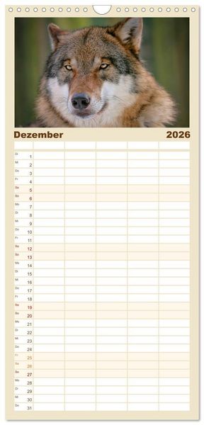 Produktbild: Familienplaner 2026 - W&ouml;lfe - sie sind wieder da mit 5 Spalten (Wandkalender, 21 x 45 cm) CALVENDO