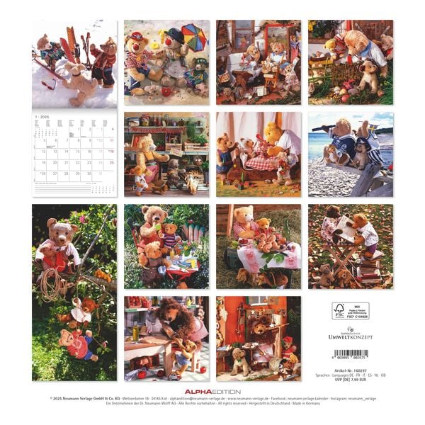 Produktbild: Teddy 2026 - Broschürenkalender 30x30 cm (30x60 geöffnet) - Kalender mit Platz für Notizen - Bildkalender - Wandkalender - mit herausnehmbarem Poster