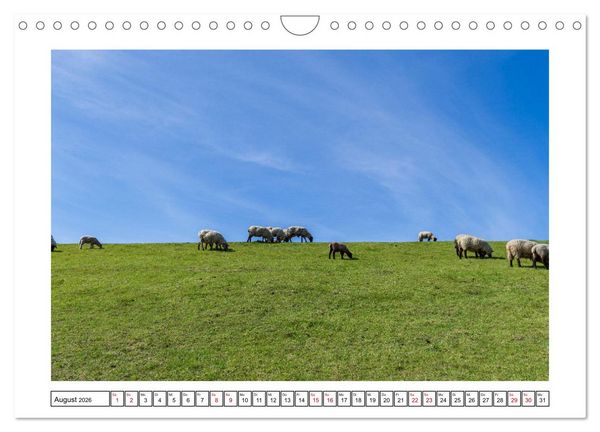 Produktbild: Verliebt in Norddeich (Wandkalender 2026 DIN A4 quer), CALVENDO Monatskalender
