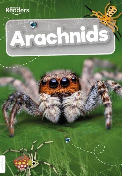 Produktbild: Arachnids