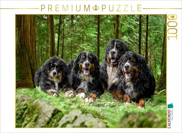 Produktbild: CALVENDO Puzzle Vier Berner R&uuml;den auf Abenteuer | 1000 Teile Lege-Gr&ouml;&szlig;e 64x48cm Foto-Puzzle f&uuml;r gl&uuml;ckliche Stunden