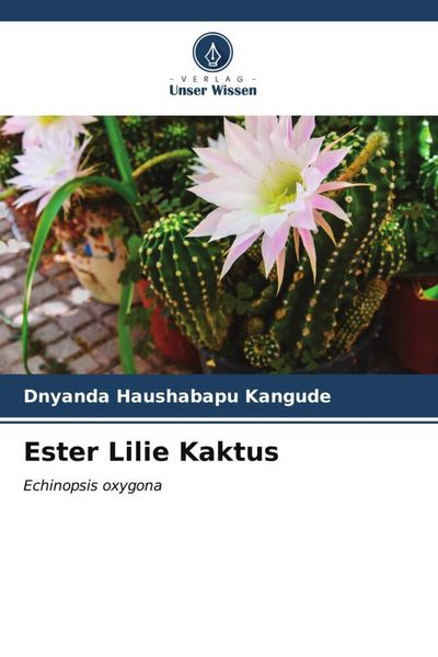 Ester Lilie Kaktus