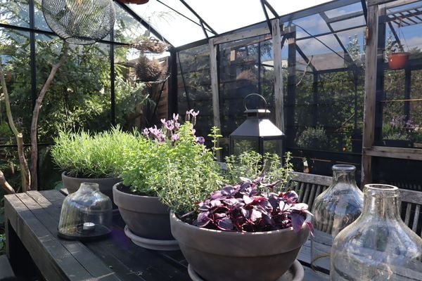 "Zuhause im SkandiGarten. Inspiration, Dekoideen und Rezepte von