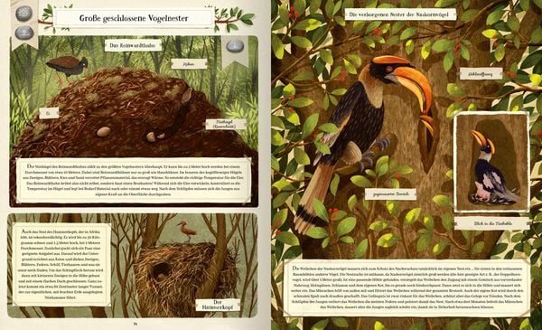 Produktbild: Tierisch gut gebaut &ndash; Von Nestern, H&ouml;hlen und anderen Tierwohnungen