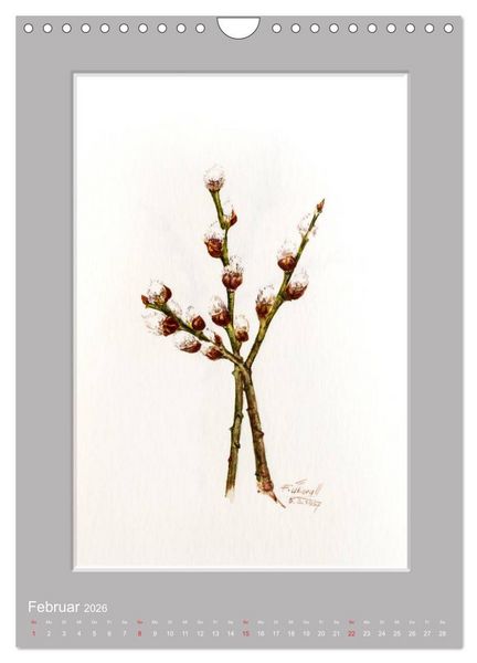 Produktbild: Alpenblumen Aquarelle aus Tirol (Wandkalender 2026 DIN A4 hoch), CALVENDO Monatskalender