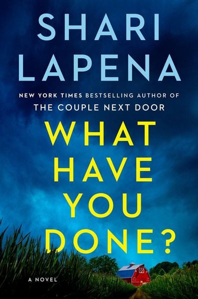 Produktbild: Lapena, S: What Have You Done?